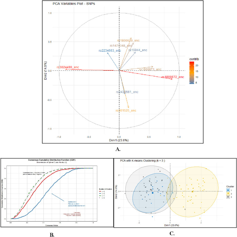 Figure 4