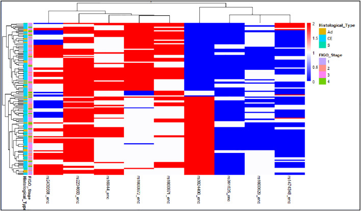 Figure 6