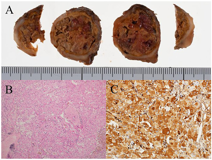 Figure 2