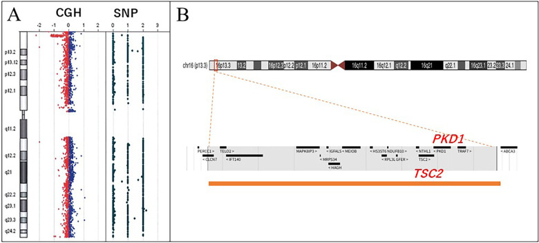 Figure 3