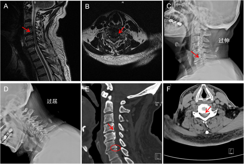 Figure 1
