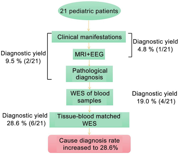 Figure 1