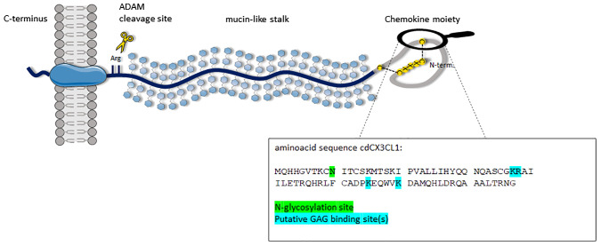 Figure 1