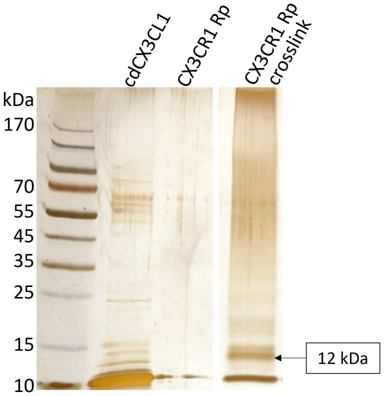 Figure 6