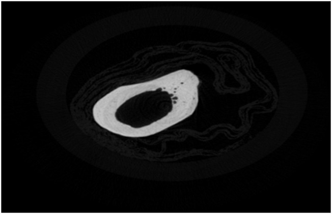 FIGURE 15