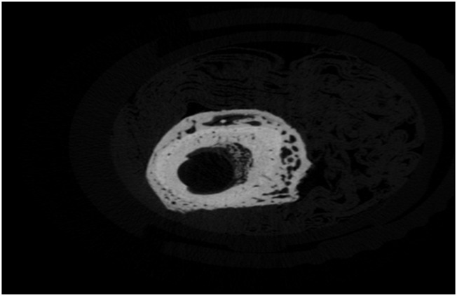 FIGURE 16