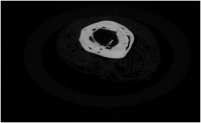 FIGURE 18