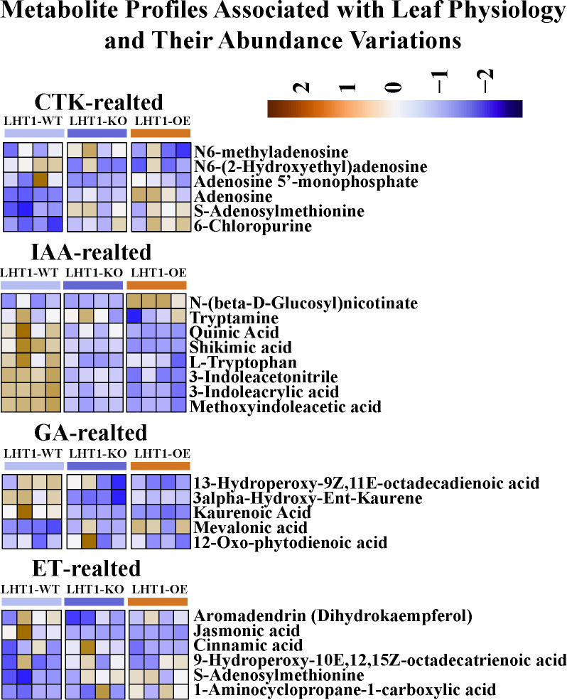Figure 6