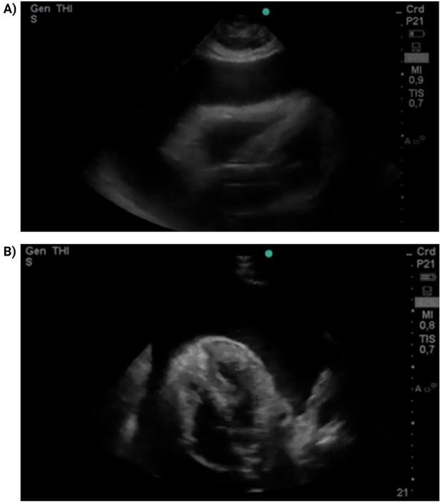 Figure 1