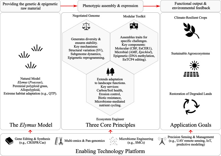 Figure 1