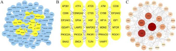 FIGURE 2