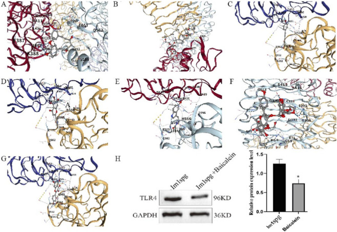 FIGURE 6