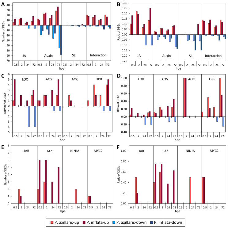 Figure 3