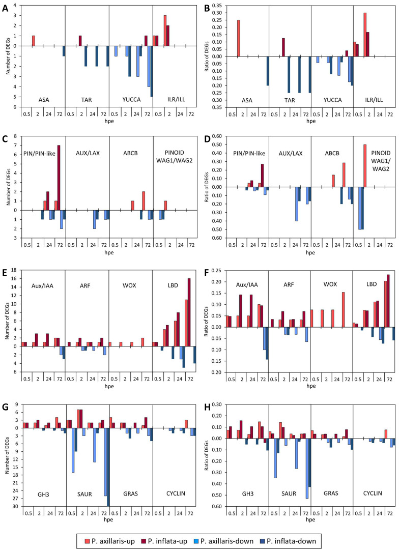Figure 4