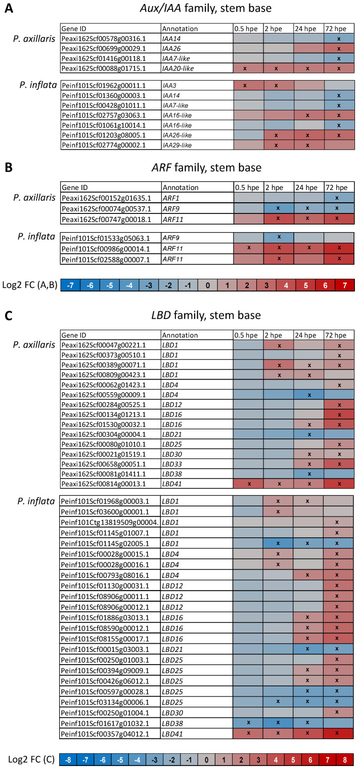 Figure 6