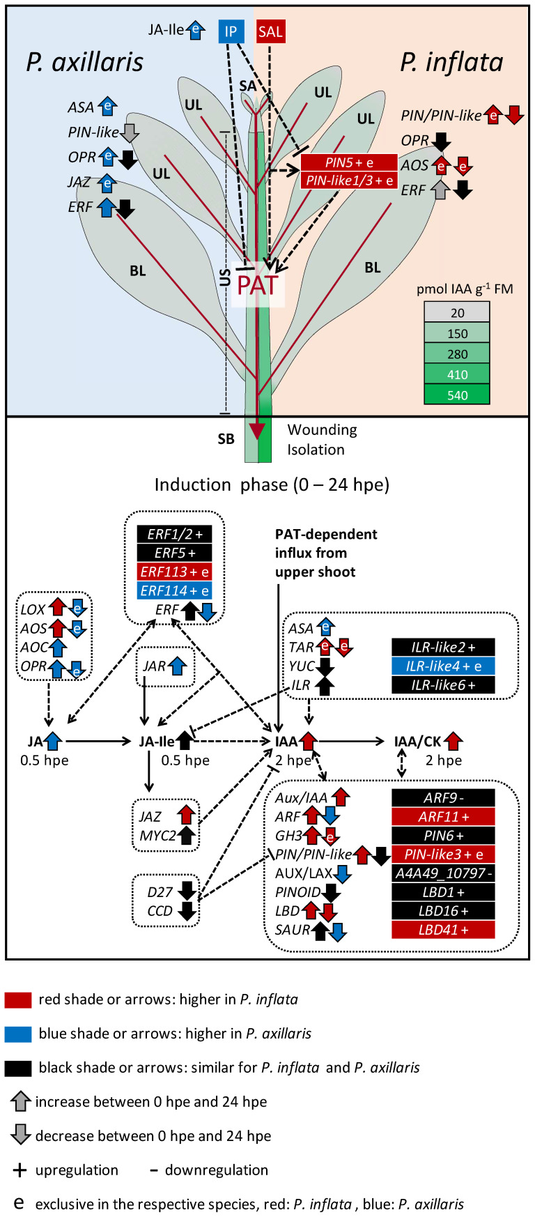 Figure 13