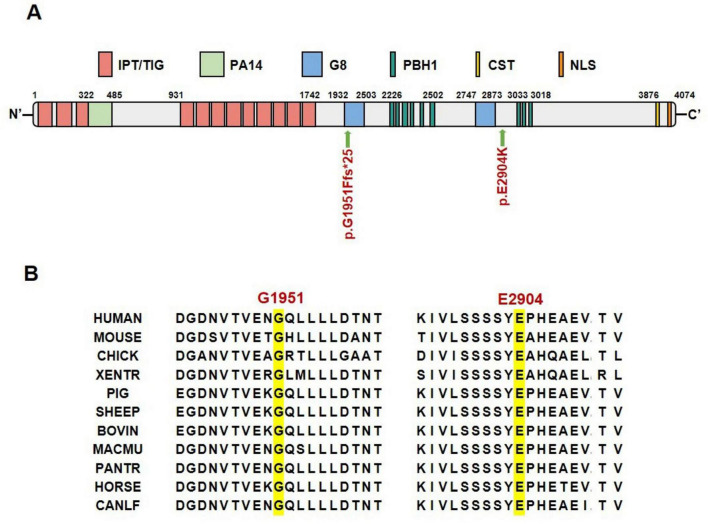 FIGURE 3