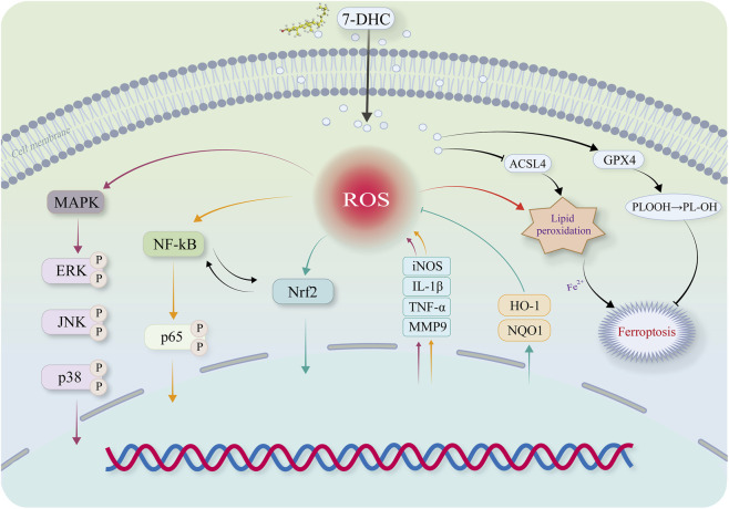 FIGURE 6