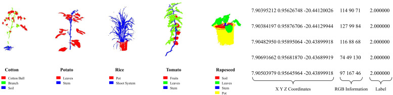 Figure 5
