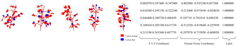 Figure 6