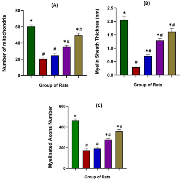FIGURE 14