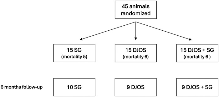 Figure 1