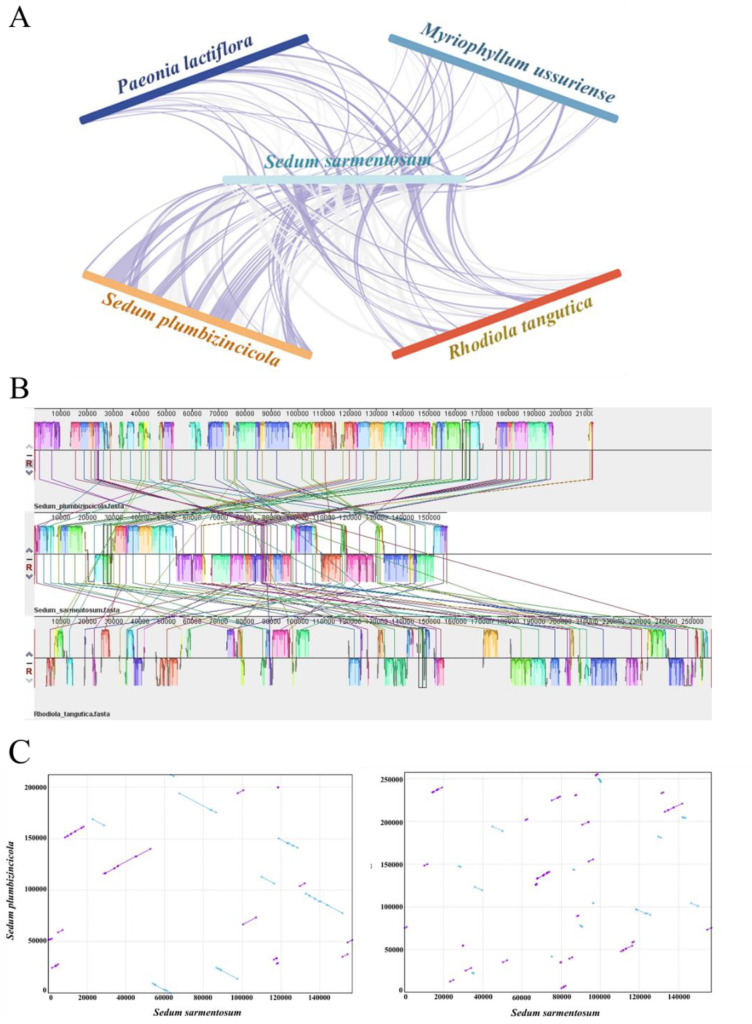 Figure 3