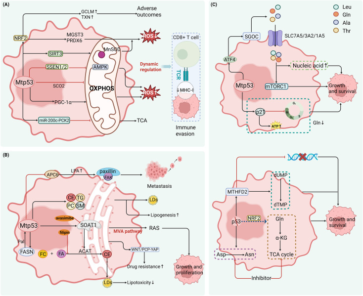 Figure 5