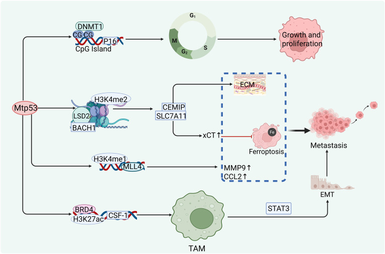 Figure 6