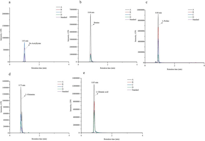 FIGURE 11