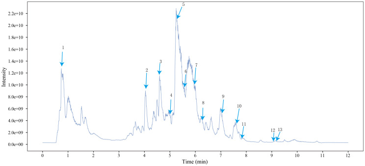Figure 2