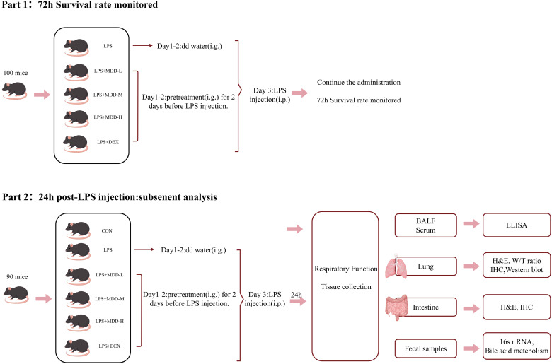 Figure 11