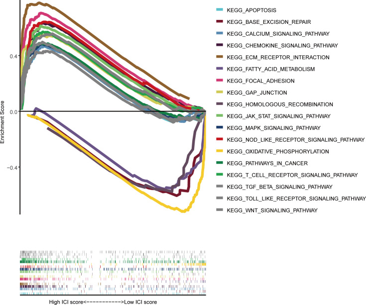 Figure 6