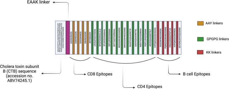 Figure 2