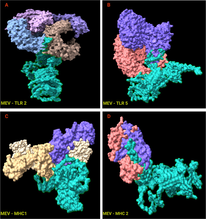 Figure 5