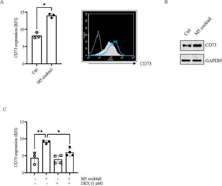 Figure 2