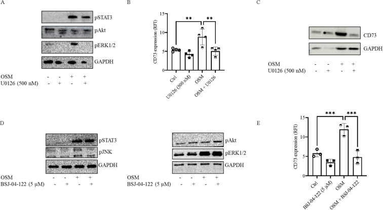 Figure 5