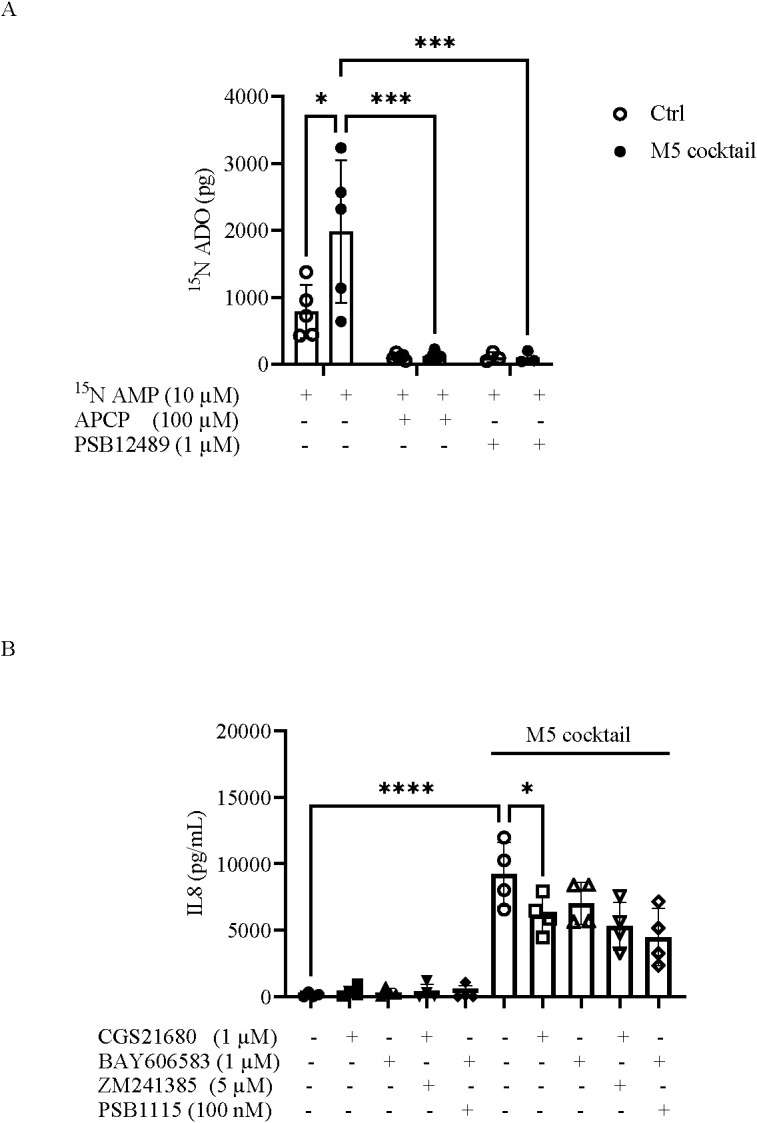 Figure 6