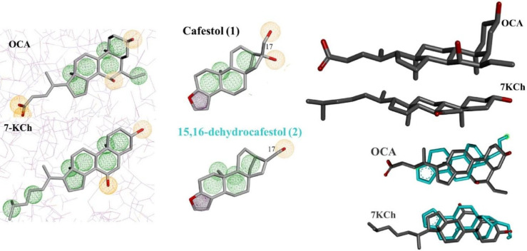 Figure 19