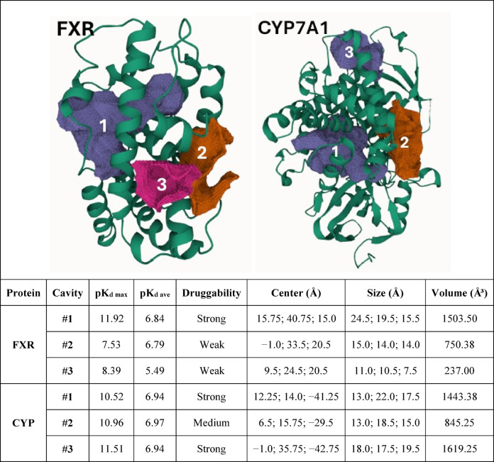 Figure 20