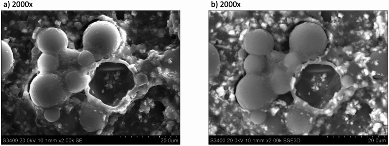 Figure 14