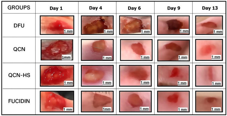 Figure 6