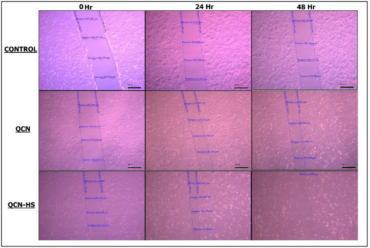 Figure 8