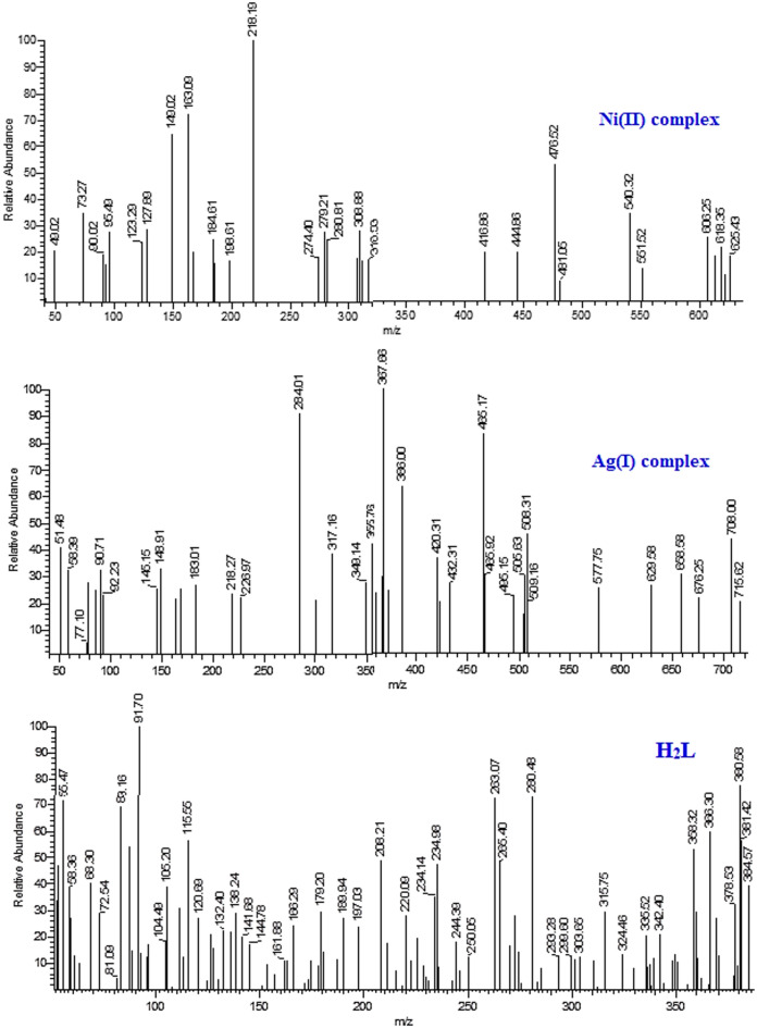 Figure 7