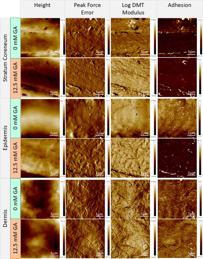 FIGURE 4