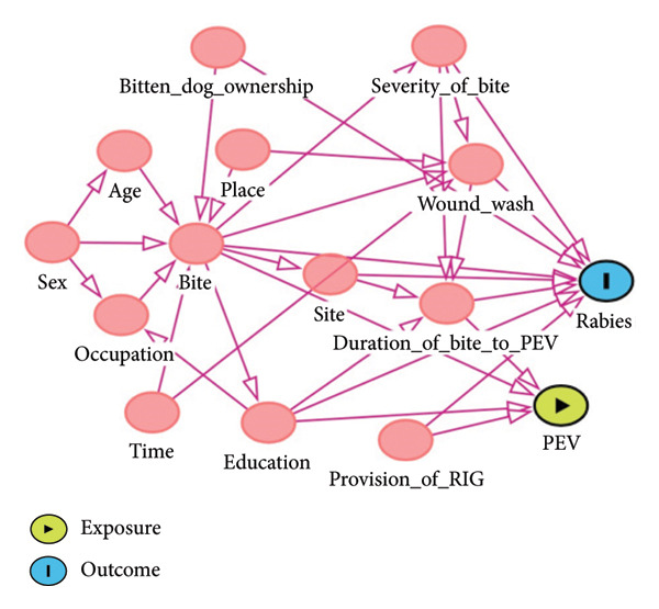 FIGURE 1