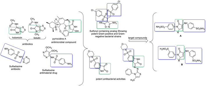 FIGURE 1