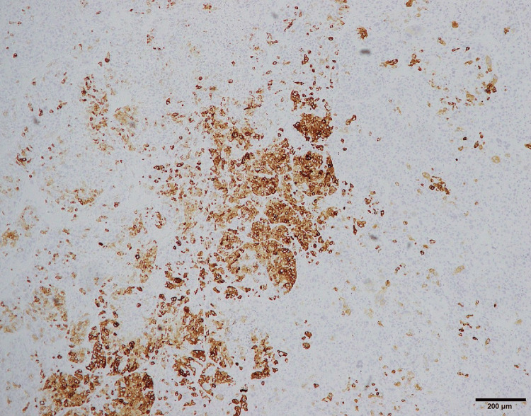 Figure 9