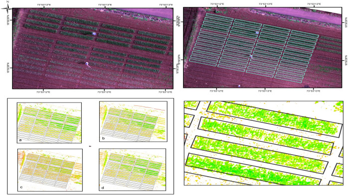 Figure 3