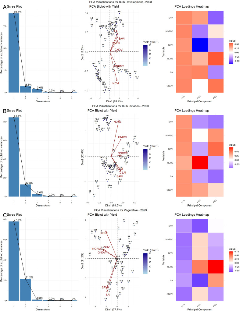 Figure 6